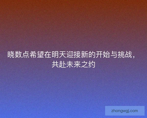 晓数点希望在明天迎接新的开始与挑战,共赴未来之约 晓数点希望在明天迎接新的开始与挑战,共赴未来之约